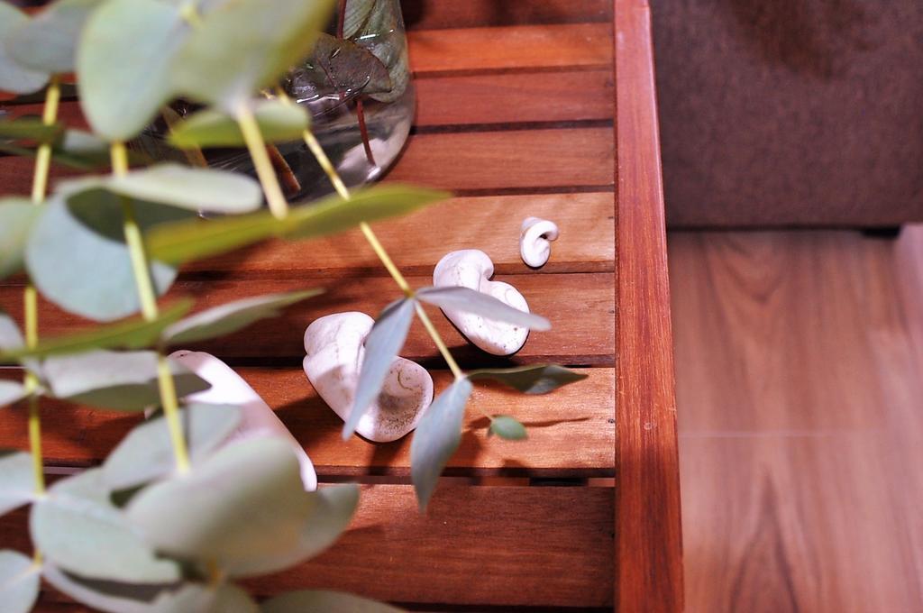 Apartamento En La Rambla Con Piscina Santa Cruz de Tenerife Zewnętrze zdjęcie